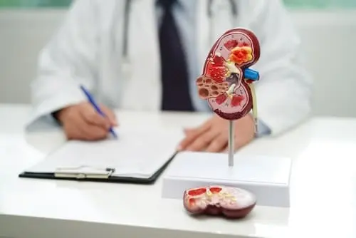 Qu'est-ce que la créatinine ?